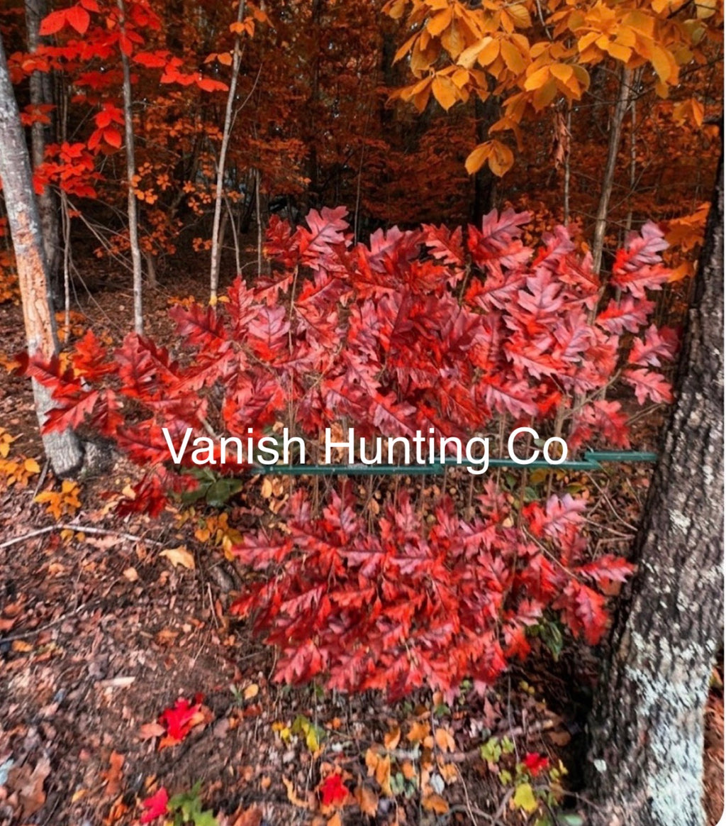 1 Tree Ninja/ Branch Combo Red Oak Branches (12)