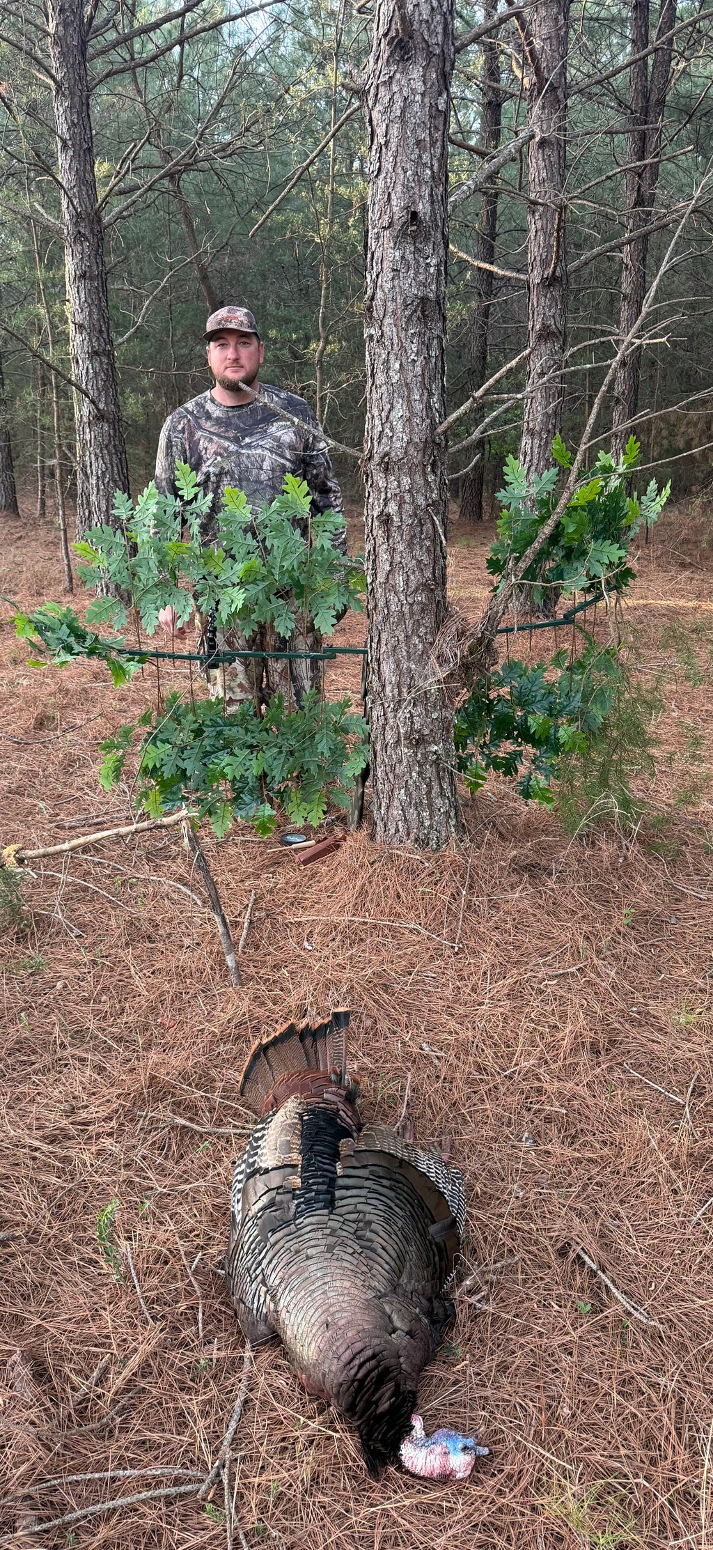 1 Tree Ninja/Branch Combo Green Oak Branches (12)