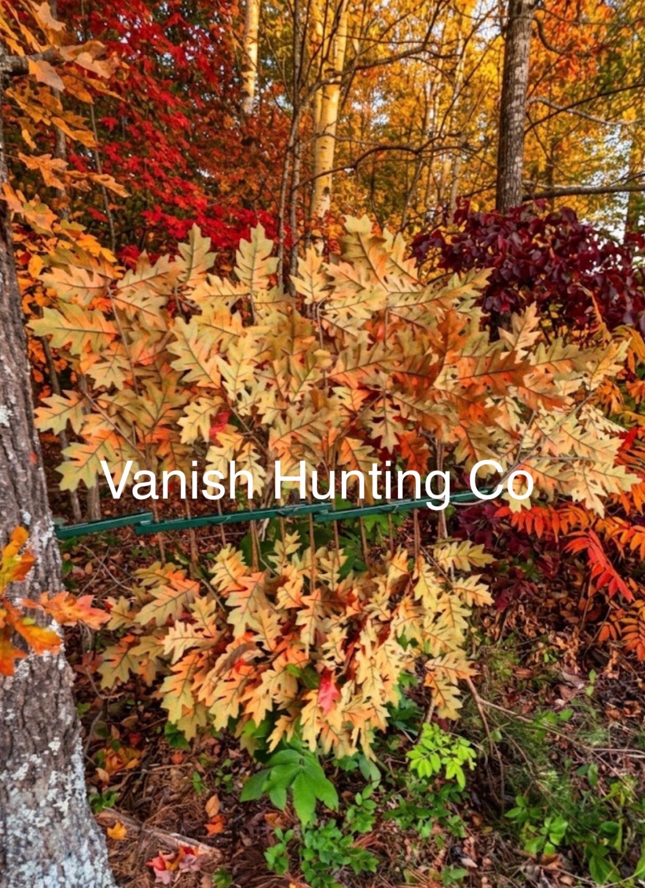 1 Tree Ninja/ Branch Combo Red Oak Branches (12)