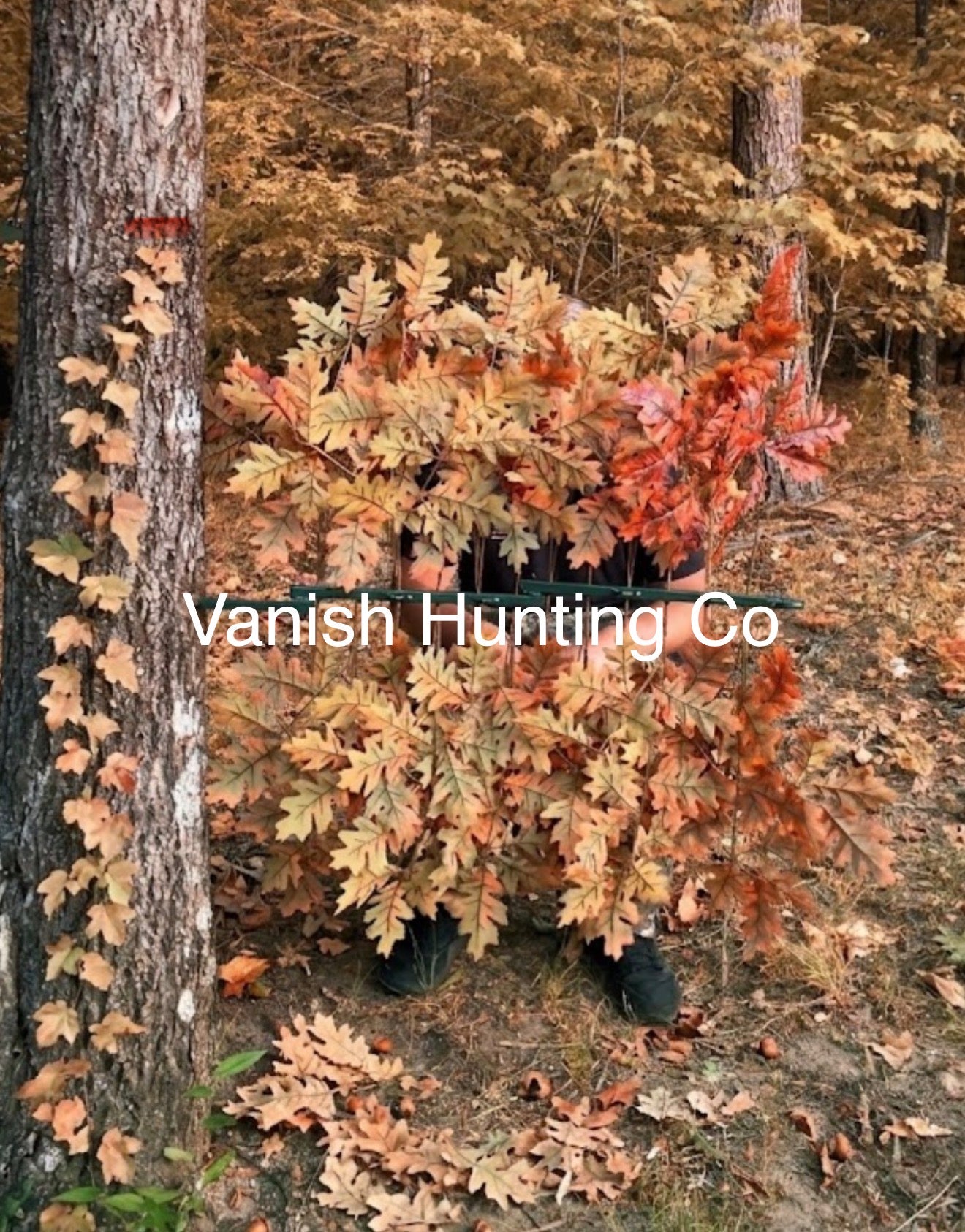 Red/Brown Oak Branches (12)