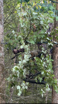 4 Pack-TREE NINJA