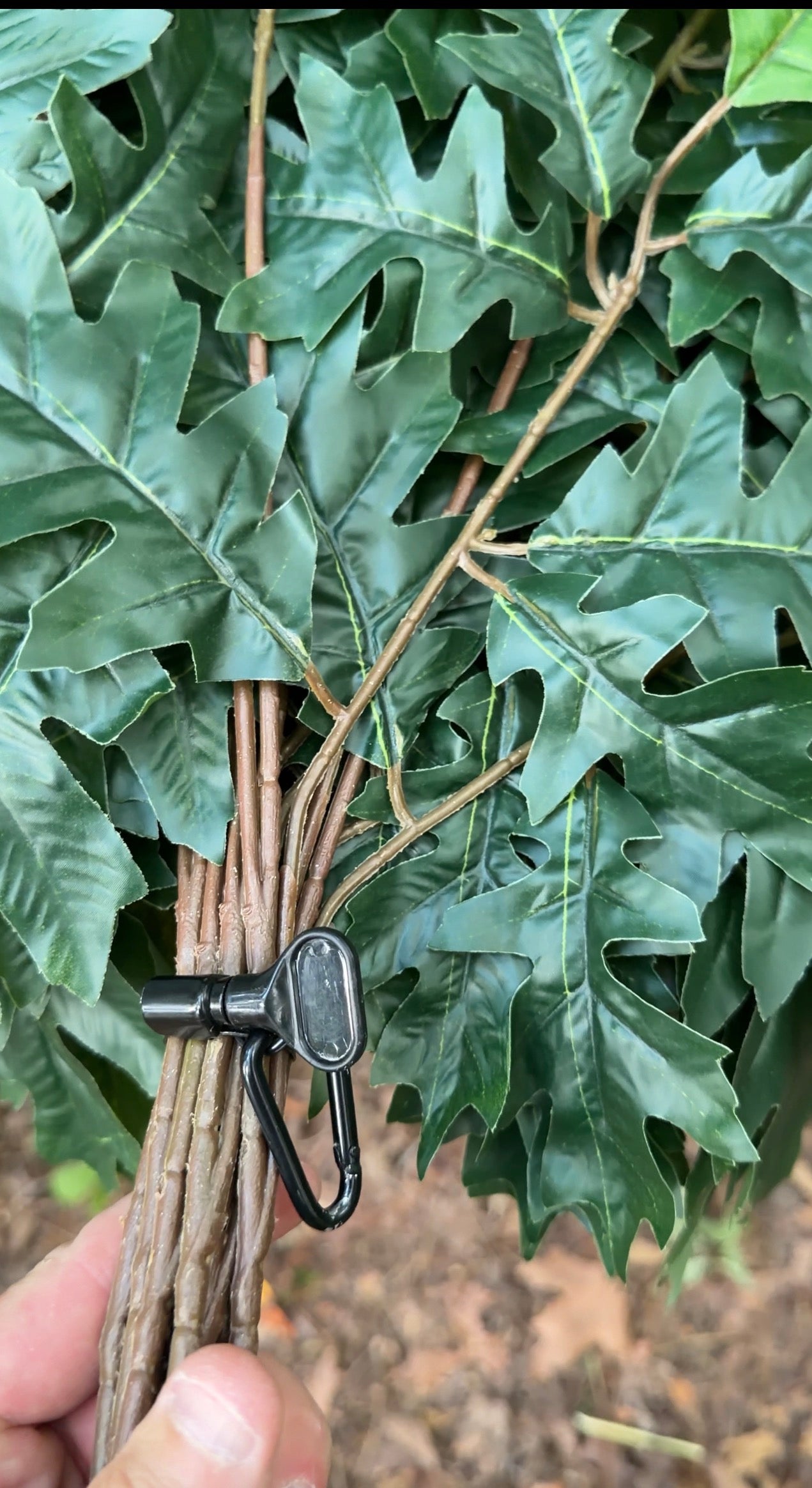 Green Oak Branches (12)