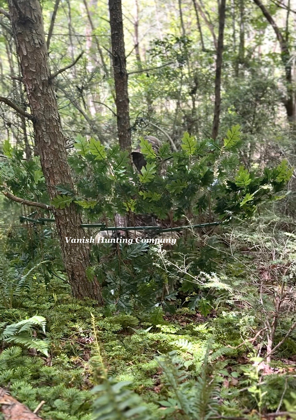 2 Tree Ninja Hunting Blinds w/ 2 sets Of (12)Green Oak Branches