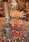 2 Tree Ninja Hunting Blinds- 2 Sets of (12) Red/Brown Oak Branches