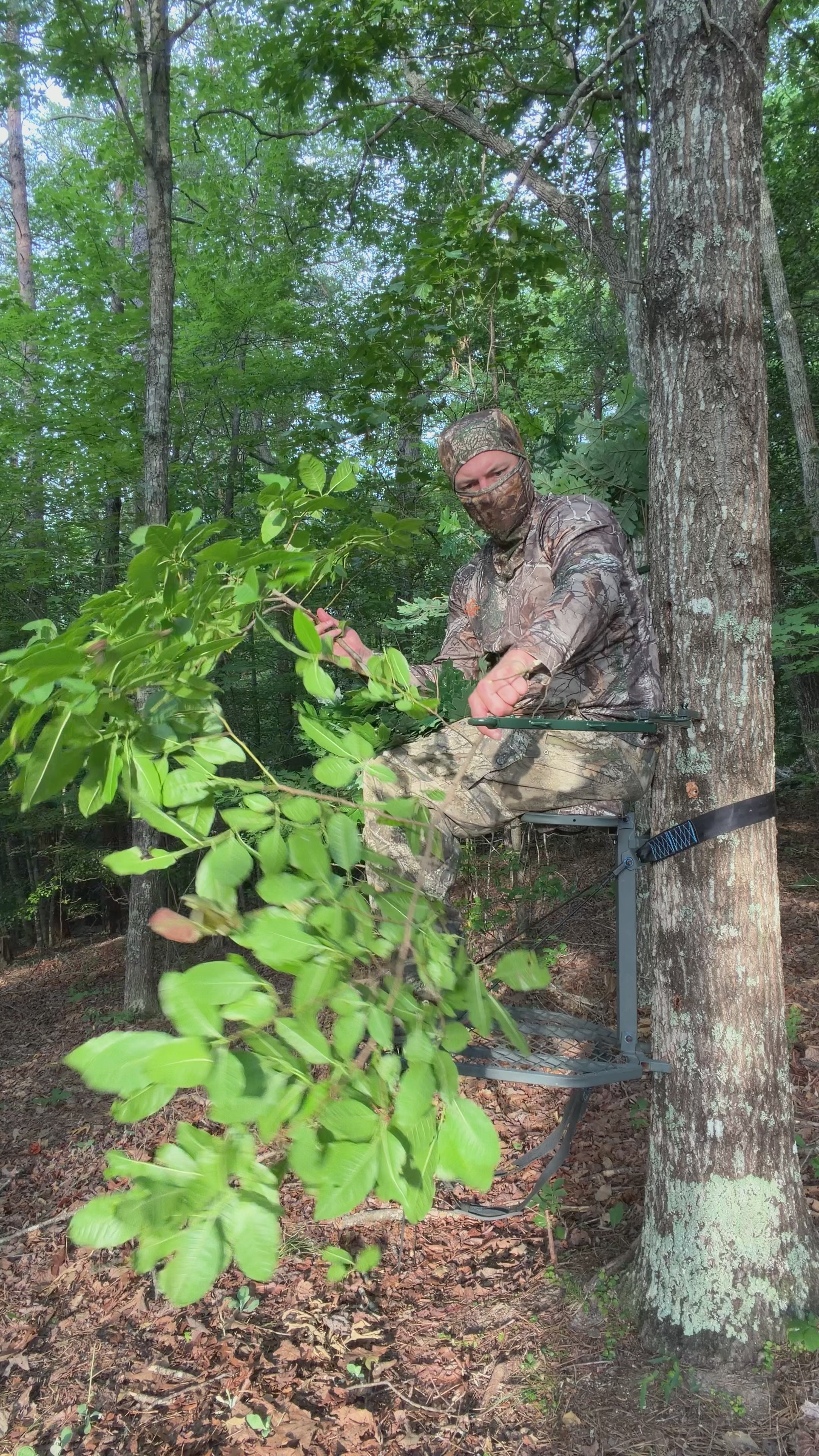 2 Tree Ninja Hunting Blinds